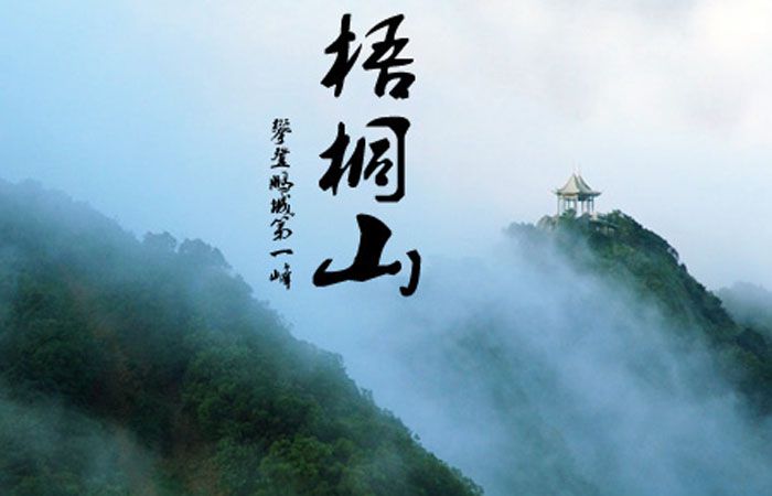 深圳梧桐山景區標識導視系統規劃