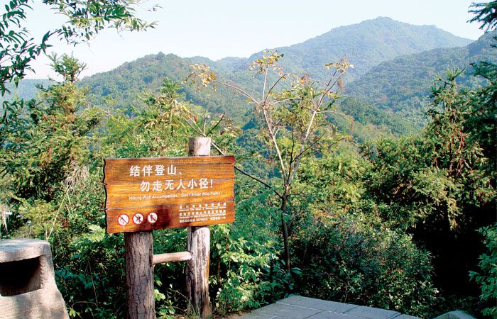 木質溫馨提示牌